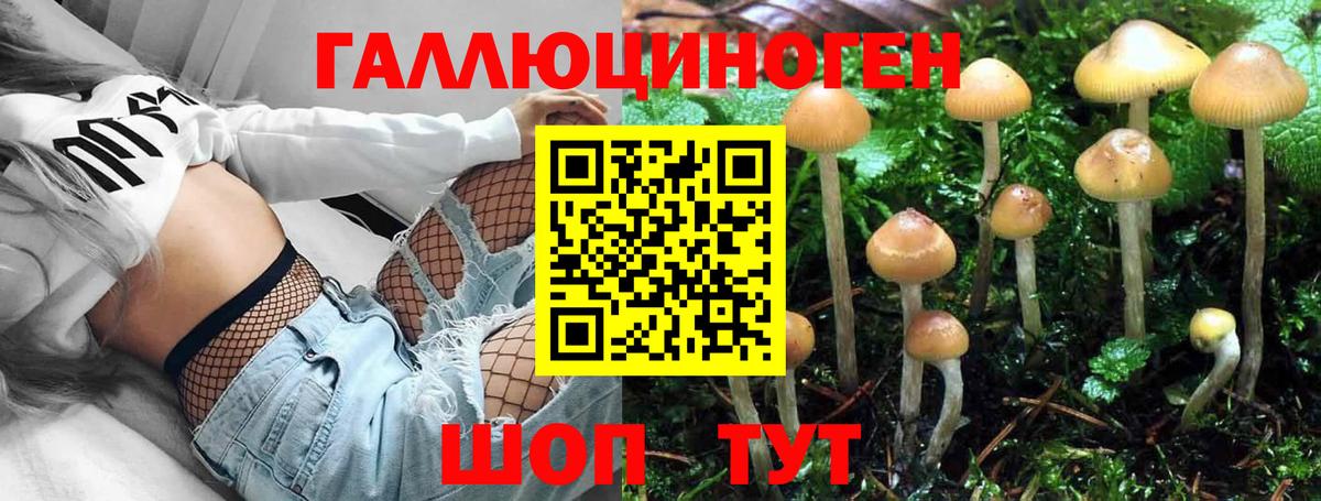 Галлюциногенные грибы Magic Shrooms Кумертау