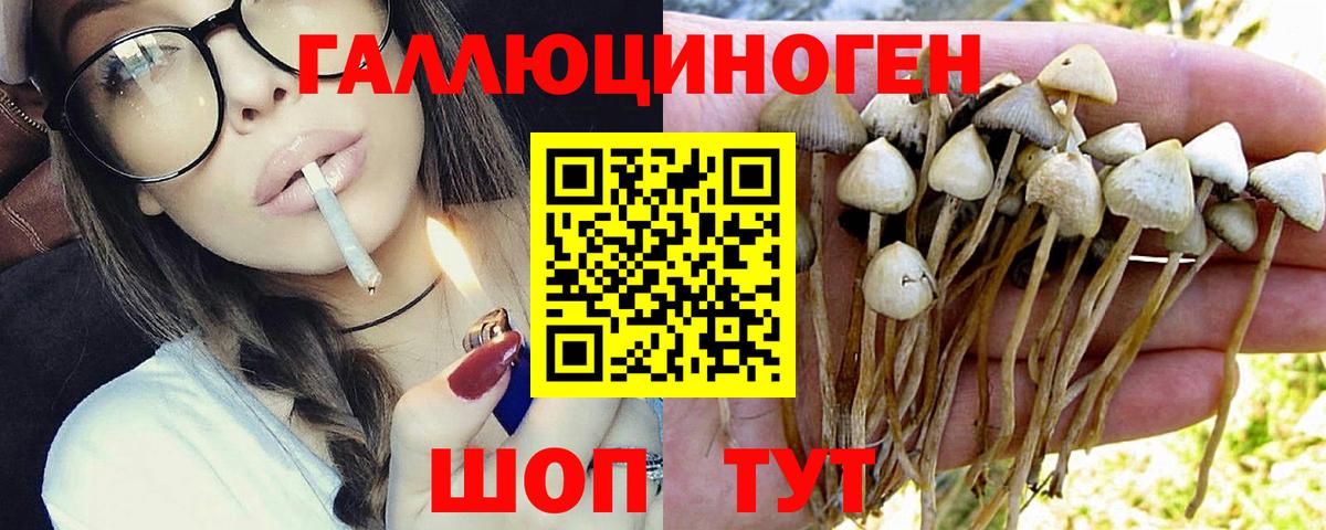 Кумертау  магазин продажи   Вход с VPN  Псилоцибиновые грибы Psilocybe  Псилоцибиновые грибы Psilocybine cubensis 